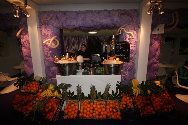 Opernball   019.jpg